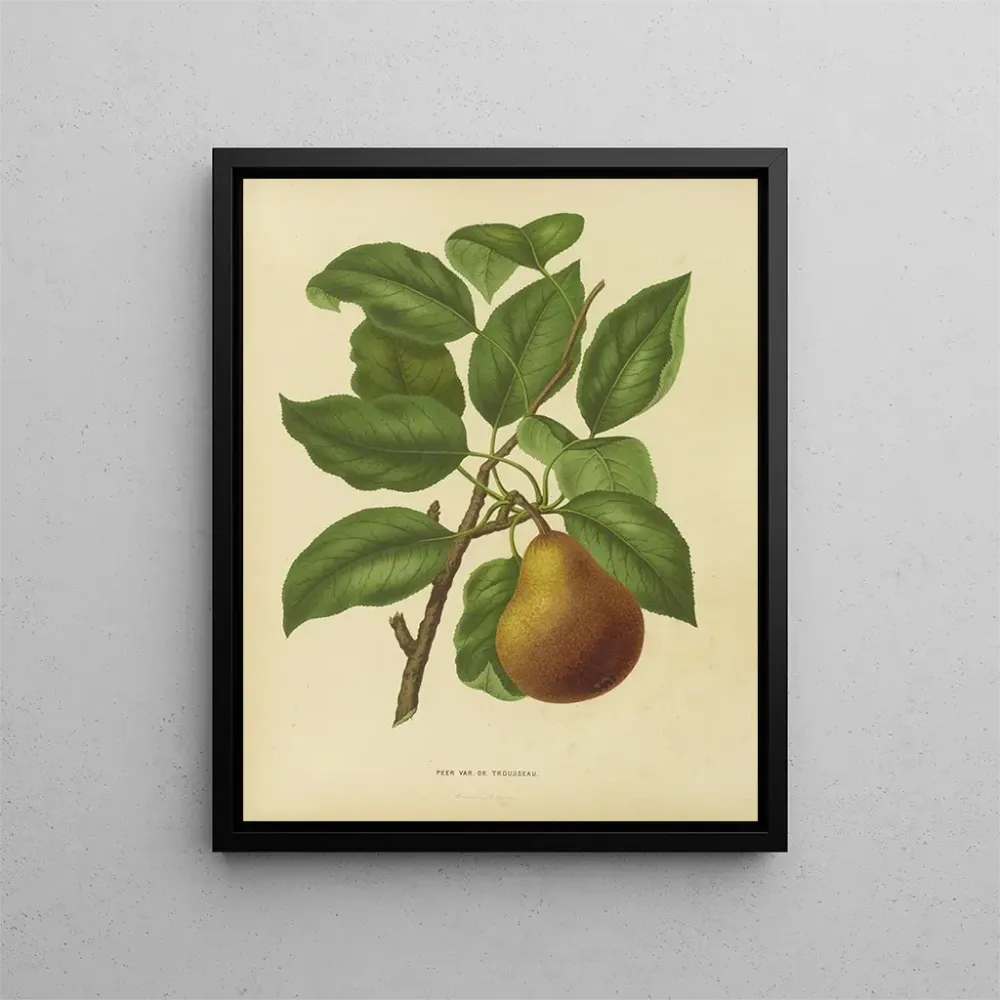 Gemälde Flore holländische und Pomone PL37 - Abraham Jacobus Wendel | Kunstdruck