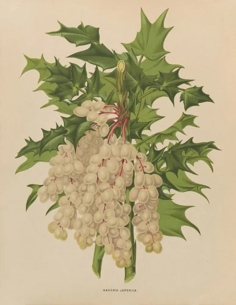 Gemälde Flore holländische und Pomone PL41 - Abraham Jacobus Wendel | Kunstdruck