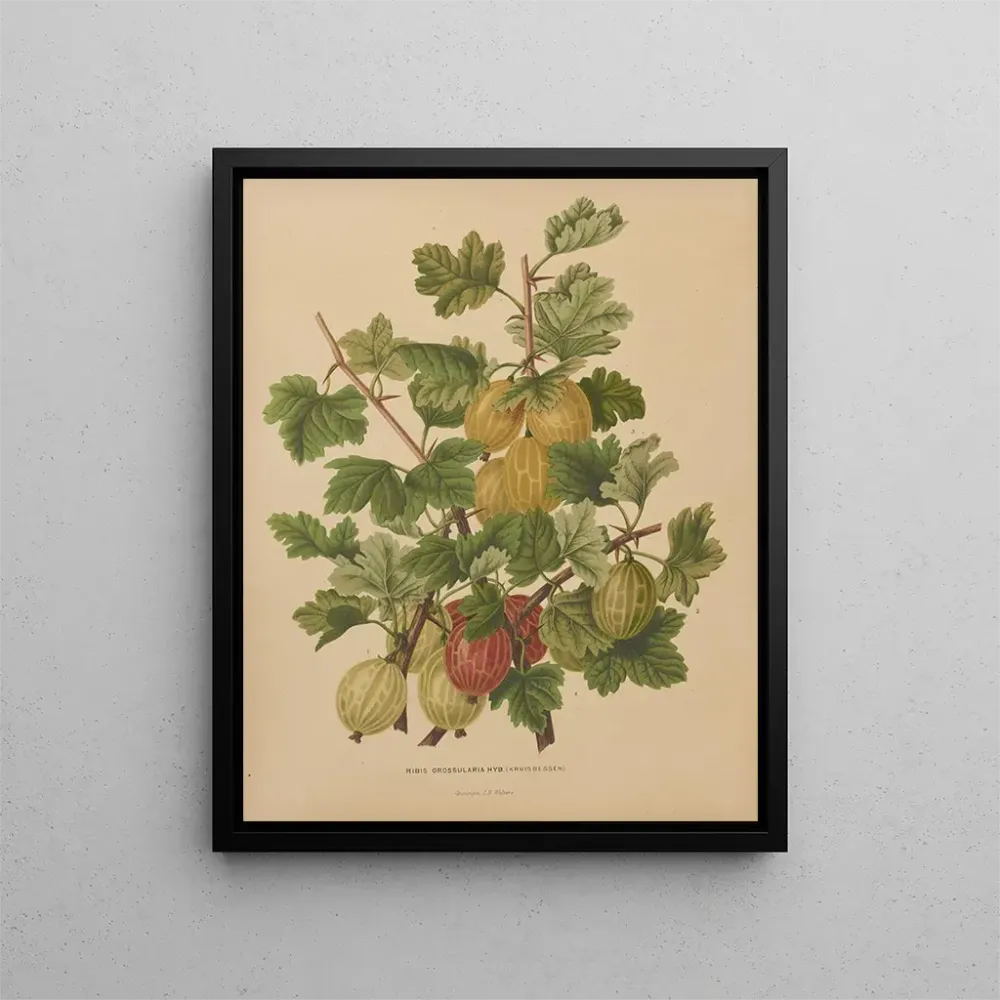 Gemälde Flore holländische und Pomone PL47 - Abraham Jacobus Wendel | Kunstdruck