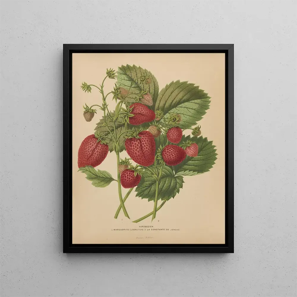 Gemälde Flore holländische und Pomone PL48 - Abraham Jacobus Wendel | Kunstdruck