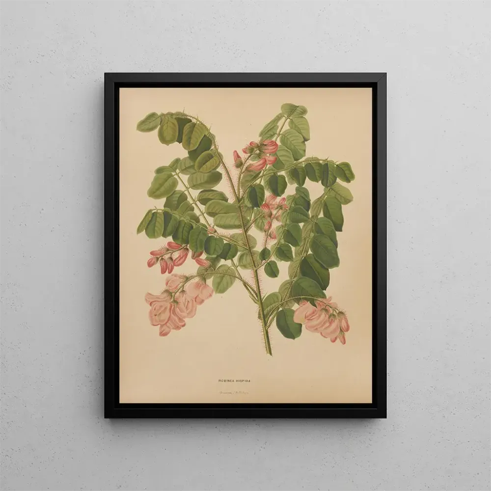 Gemälde Flore holländische und Pomone PL49 - Abraham Jacobus Wendel