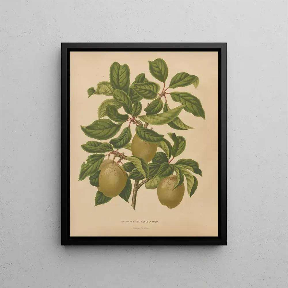 Gemälde Flore holländische und Pomone PL57 - Abraham Jacobus Wendel | Kunstdruck