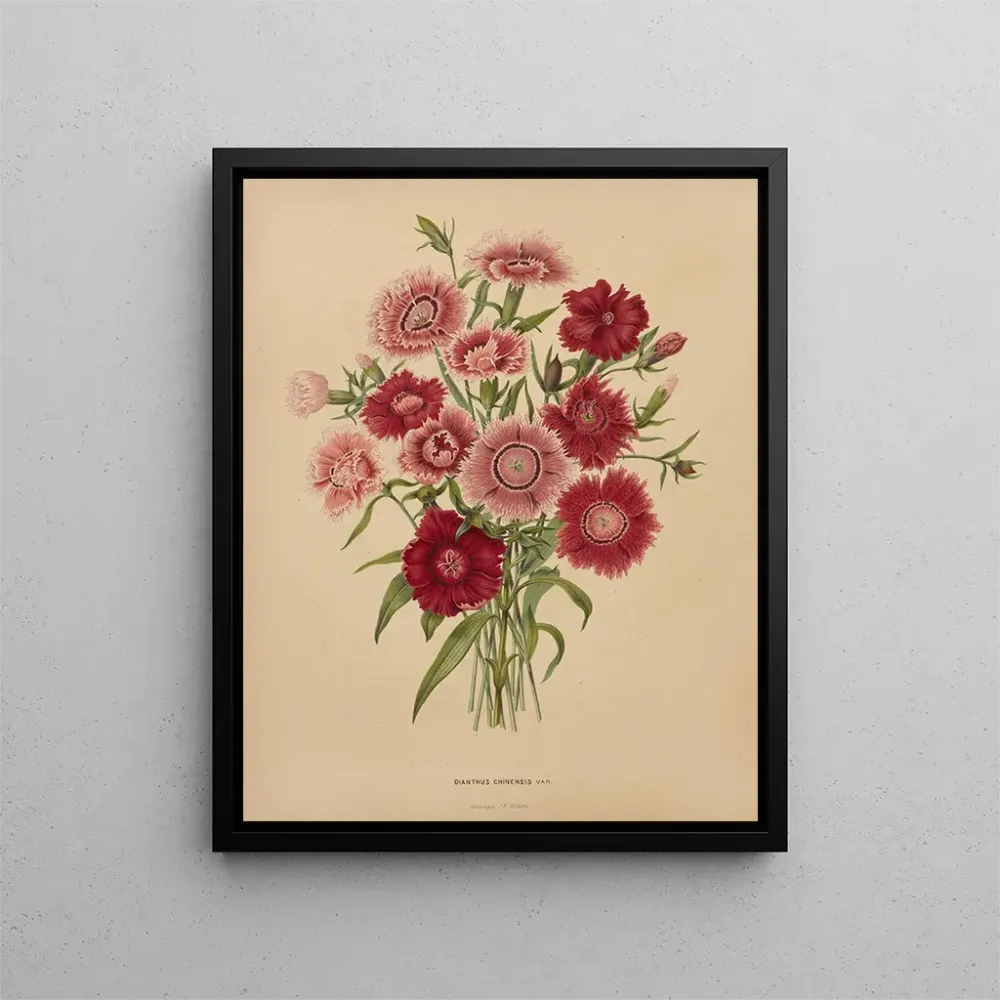 Gemälde Flore holländische und Pomone PL68 - Abraham Jacobus Wendel | Kunstdruck