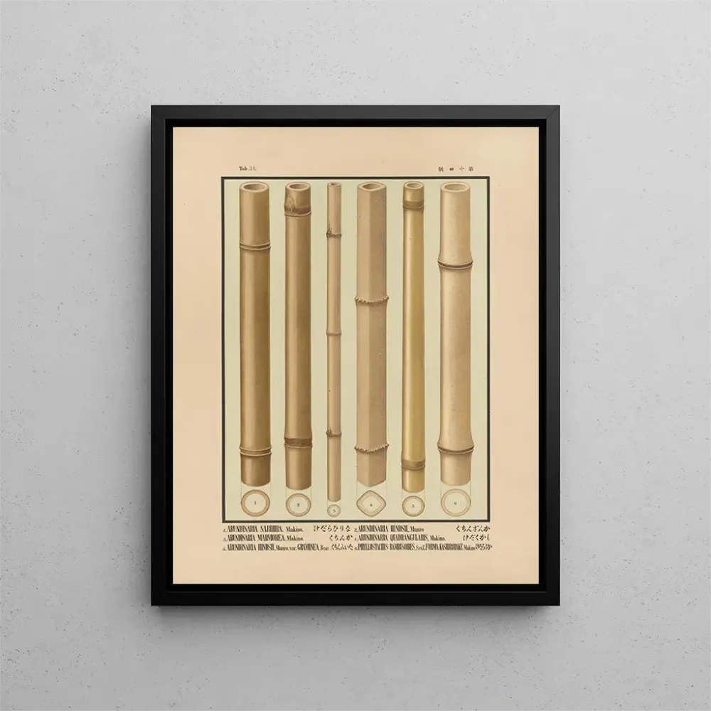 Gemälde Ikonen der Bambusse aus Japan Pl14 - Yasuyoshi Shirasawa | Kunstdruck