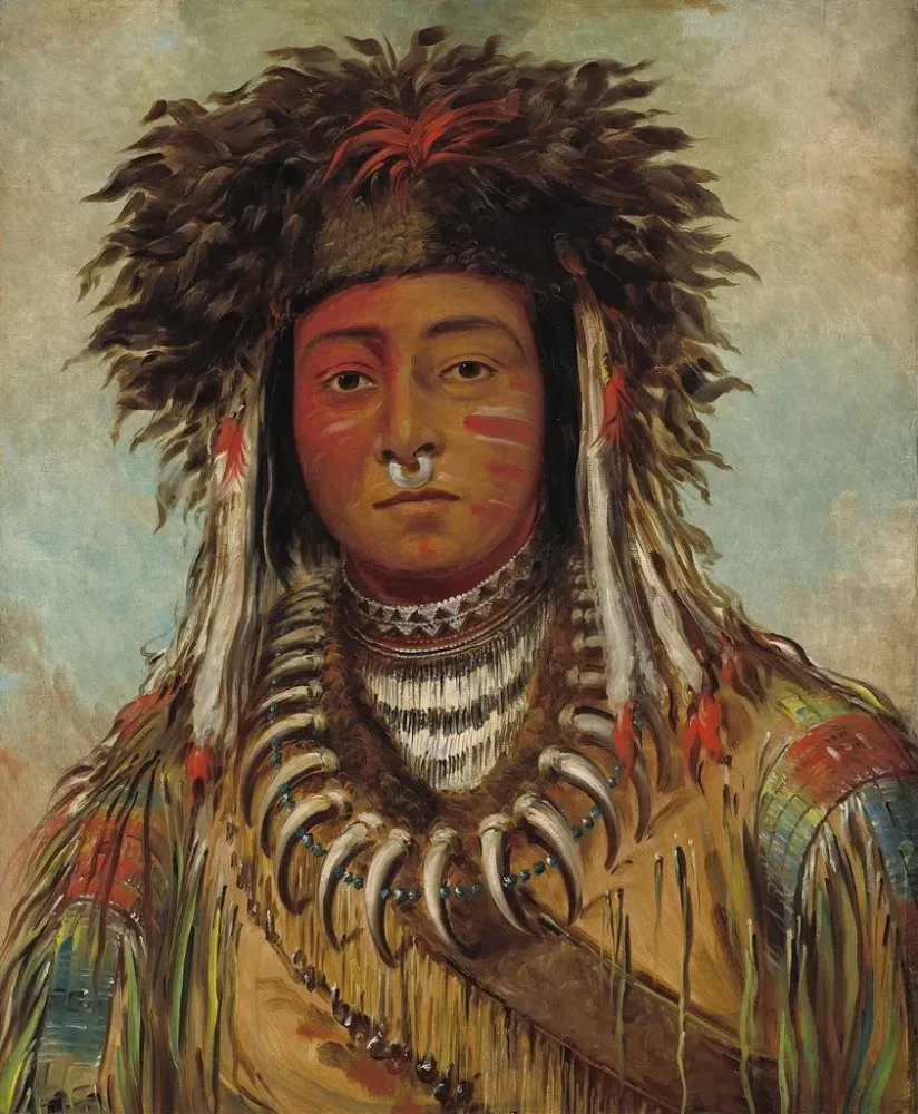 Gemälde Junge Chef Ojibwé - George Catlin | Kunstdruck