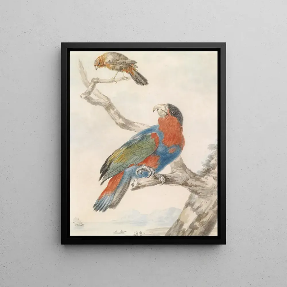 Gemälde Papagei - Abraham Meertens | Kunstdruck