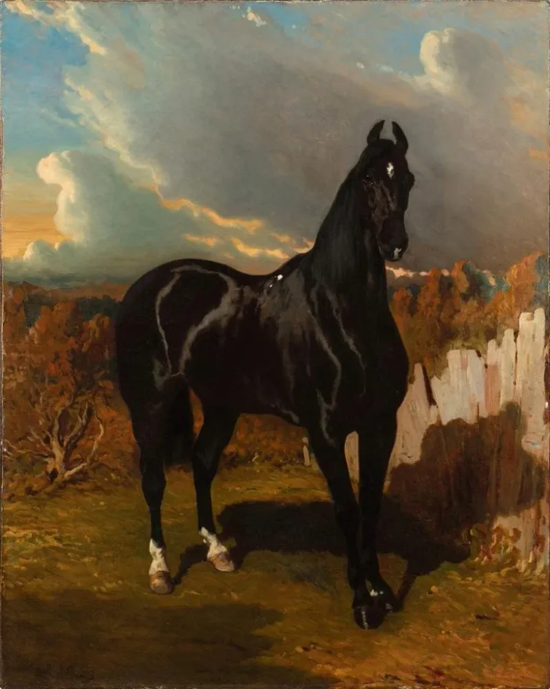Gemälde Ritter Schwarz - Alfred de Dreux | Kunstdruck