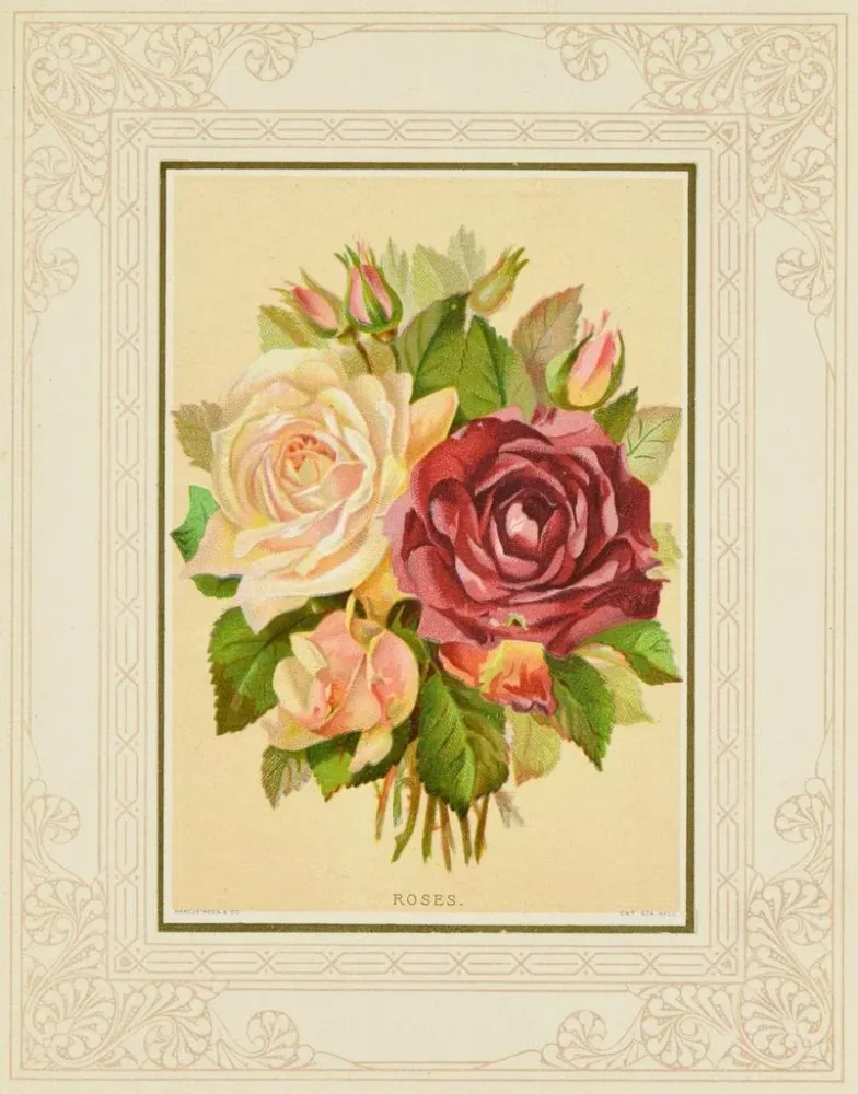 Gemälde Rosen - Marcus Ward & Co. | Kunstdruck
