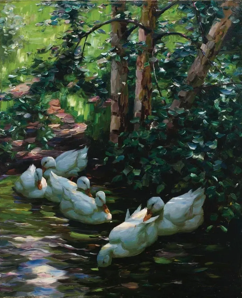 Gemälde Sechs Enten im Wasser - Alexander Koester | Kunstdruck