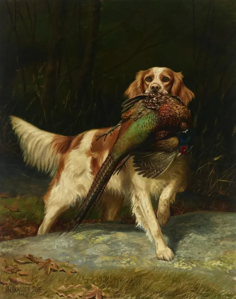 Gemälde Springer Spaniel mit Fasan - Alexander Pope | Kunstdruck