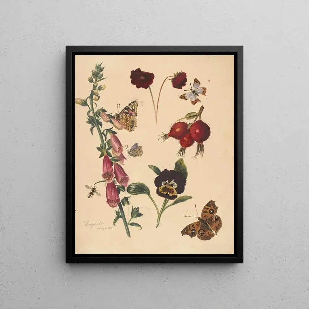 Gemälde Studienblatt mit Blumen und Schmetterlingen - Albertus Steenbergen | Kunstdruck