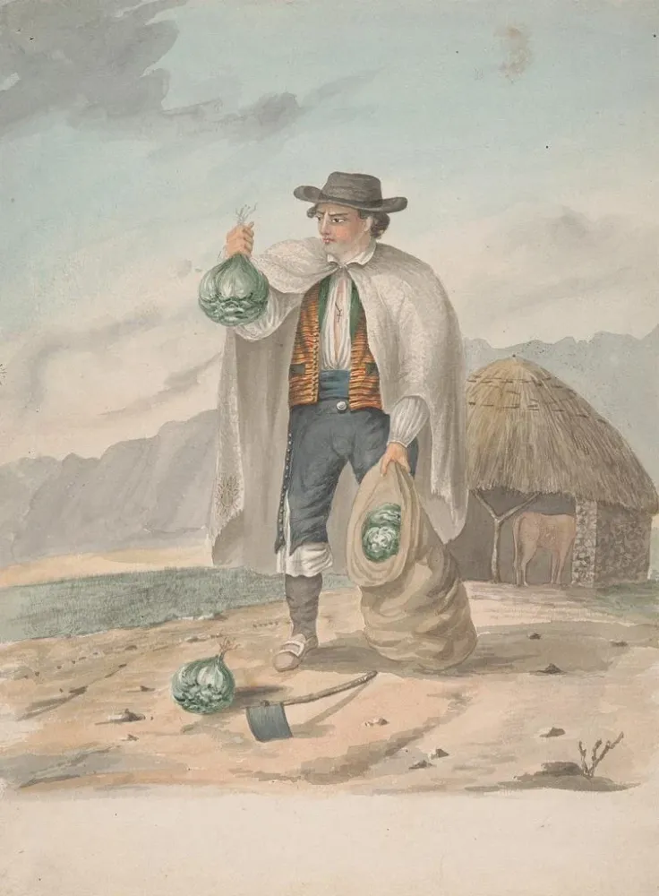 Gemälde Tenerife Mann von Tacoronte - Alfred Diston | Kunstdruck