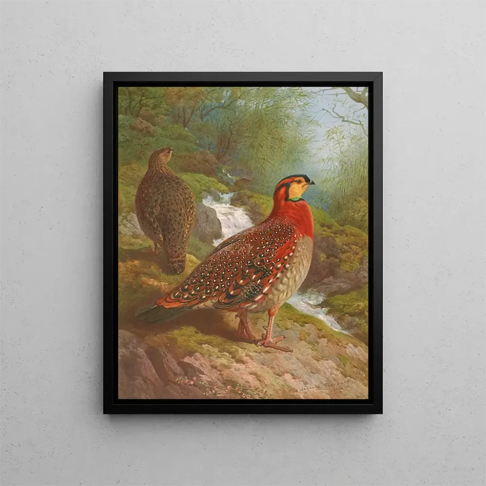Gemälde Tragopan de Blyth - Archibald Thorburn | Kunstdruck
