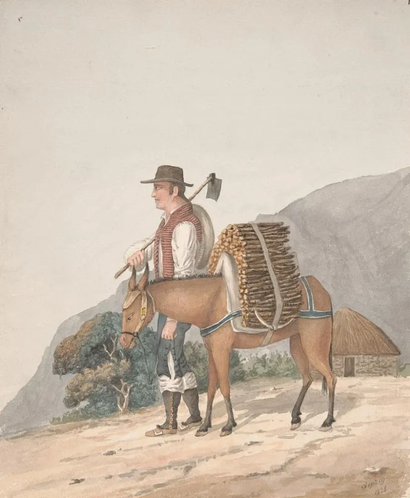 Gemälde Verkäufer von Holz Tenerife - Alfred Diston | Kunstdruck