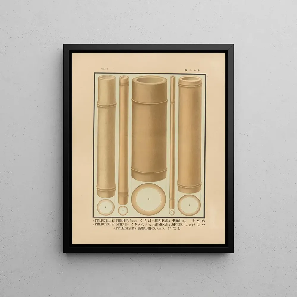 Japanische Bambus-Ikonen Gemälde Pl13 - Yasuyoshi Shirasawa | Kunstdruck
