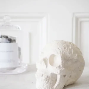 Korallen Jaspis Totenkopf . Coral Jasper Skull ca 680g - Hand Carving