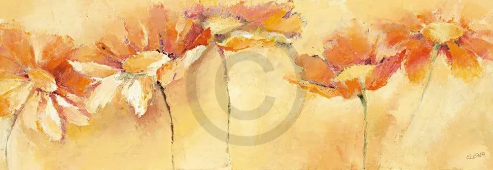 Kunstdruck Elena Filatov - Feldblumenparade 99x34cm