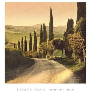 Kunstdruck Elisabeth Carmel - Country Lane, Tuscany 45x50cm