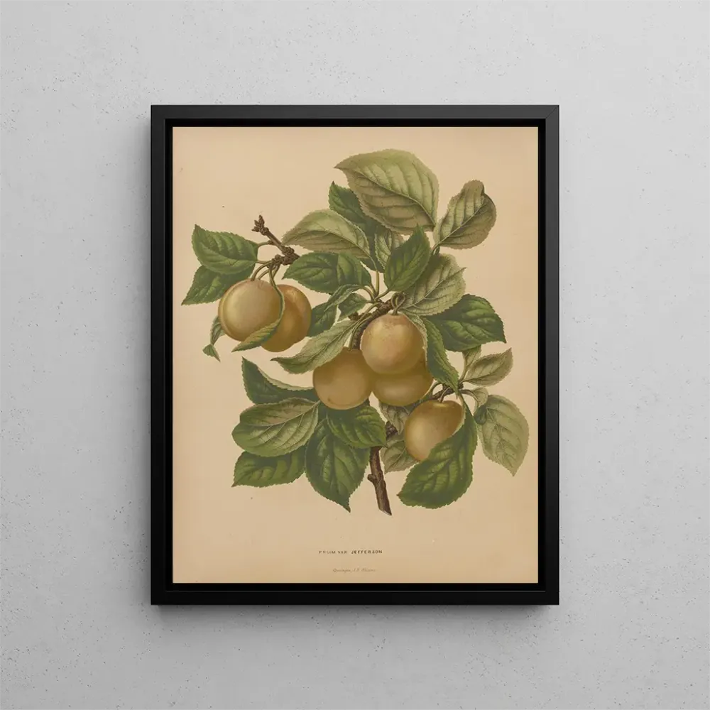 Kunstdruck Flore holländische und Pomone PL77 - Abraham Jacobus Wendel