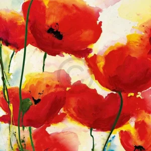 Kunstdruck Heidi Reil - Roter Mohn 70x90cm