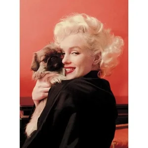 Kunstdruck Marilyn Monroe - Love 60x80cm
