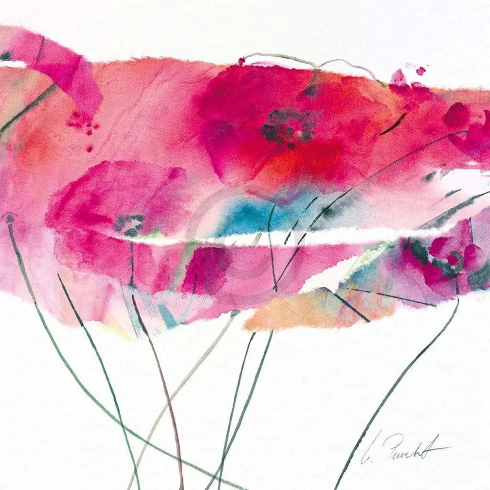Kunstdruck Marta Peuckert - Modern Poppy IV 21x21cm
