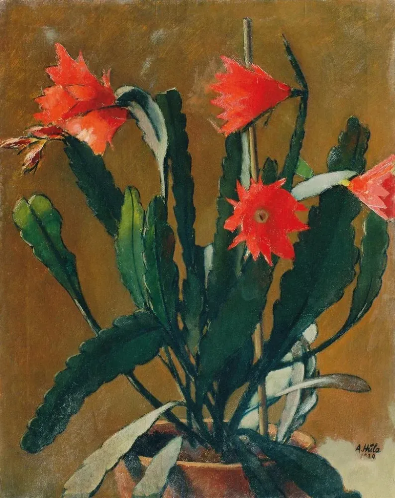 Kunstdruck Natur stillleben mit blühendem Kaktus - Anton Hula | Kunstdruck