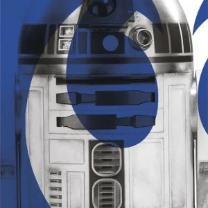 Kunstdruck Star Wars - Episode IX R2 D2 30x40cm