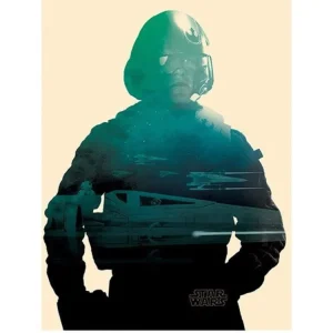 Kunstdruck Star Wars - Episode VII Poe Tri 60x80cm