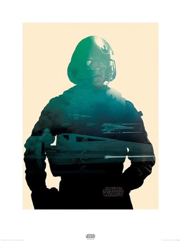 Kunstdruck Star Wars - Episode VII Poe Tri 60x80cm