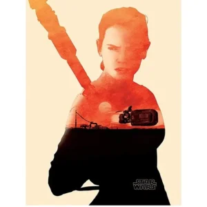 Kunstdruck Star Wars - Episode VII Rey Tri 60x80cm