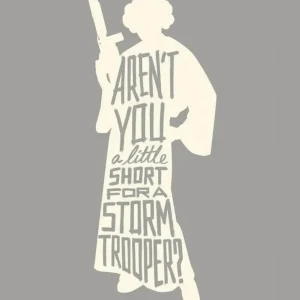 Kunstdruck Star Wars - Silhouette Quotes Leia 50x70cm