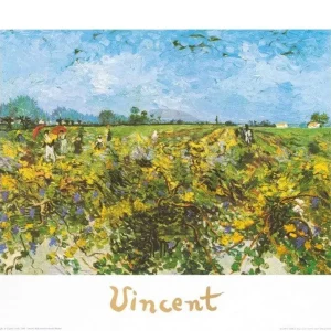 Kunstdruck Vincent Van Gogh - Green Vineyard 70x50cm