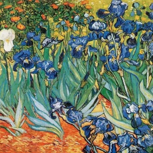Kunstdruck Vincent Van Gogh - Iris 80x60cm