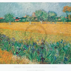 Kunstdruck Vincent Van Gogh - Vista di Arles Con Irises 80x60cm