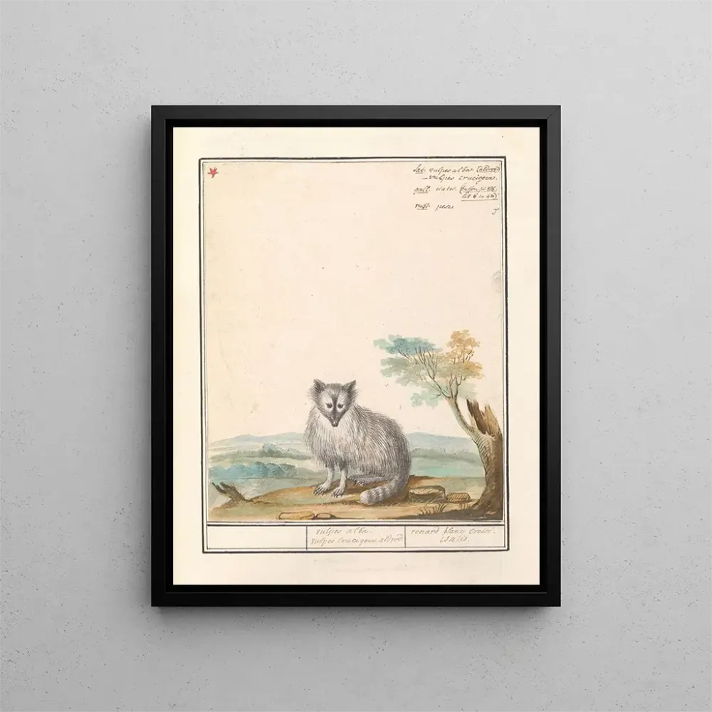 Kunstdruck Vos Renards renards renards renards blancs Crucigera aldvov renard fade crois isalis - Anselmus Botius de Boodt