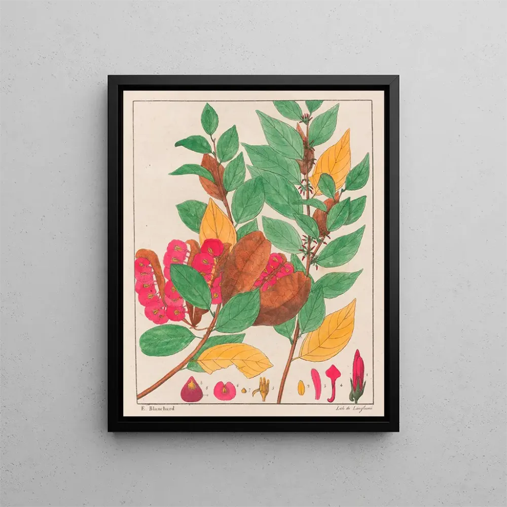 L'ängstliche Rettung - Auguste de Saint-Hilaire | Kunstdruck