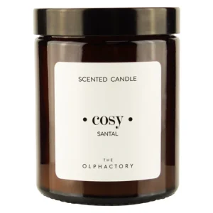OLPHACTORY Duftkerze S Santal 135 g 30 h