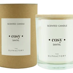 OLPHACTORY Duftkerze M Santal 200 g 40 h