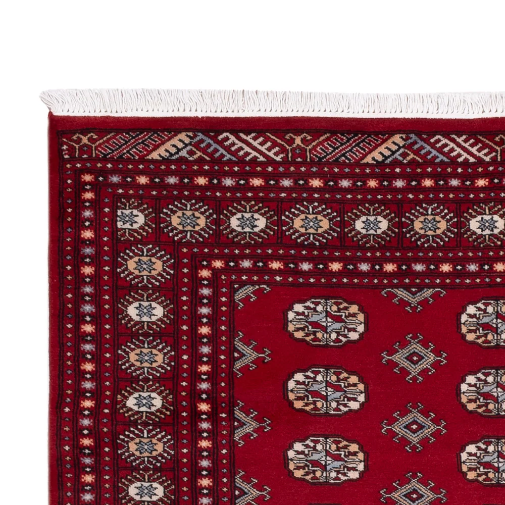 Pakistan Teppich - 241 x 154 cm - rot
