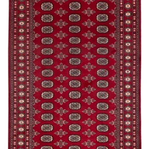 Pakistan Teppich - 244 x 154 cm - rot