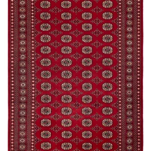 Pakistan Teppich - 256 x 167 cm - rot