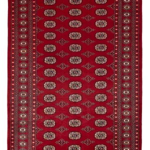Pakistan Teppich - 266 x 167 cm - rot