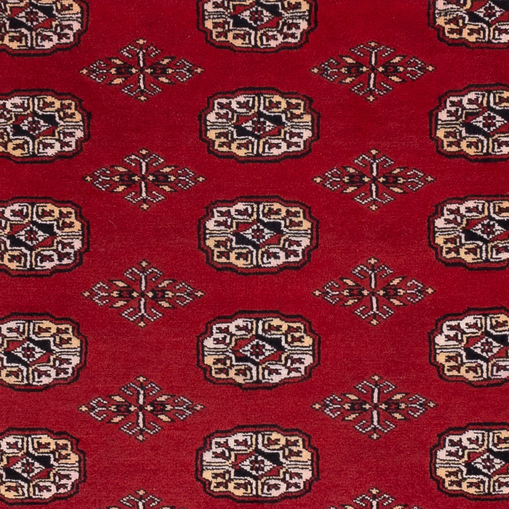 Pakistan Teppich - 266 x 167 cm - rot