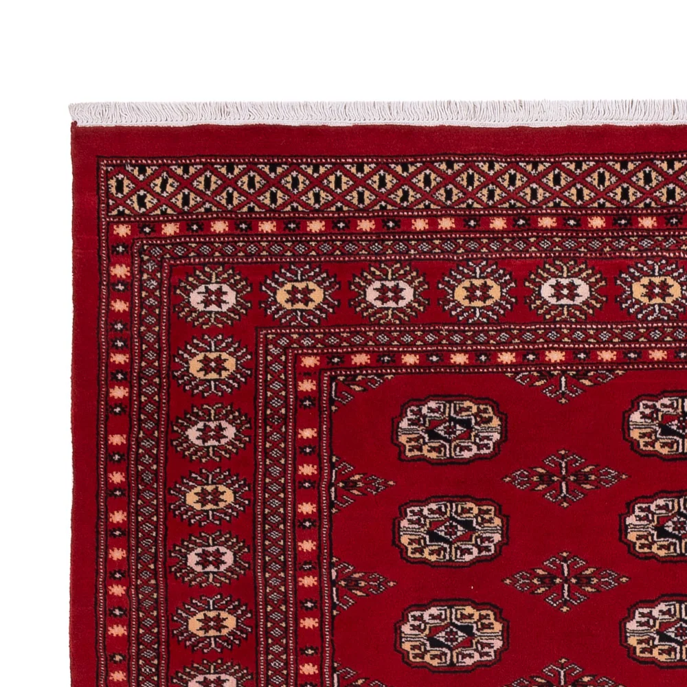 Pakistan Teppich - 266 x 167 cm - rot