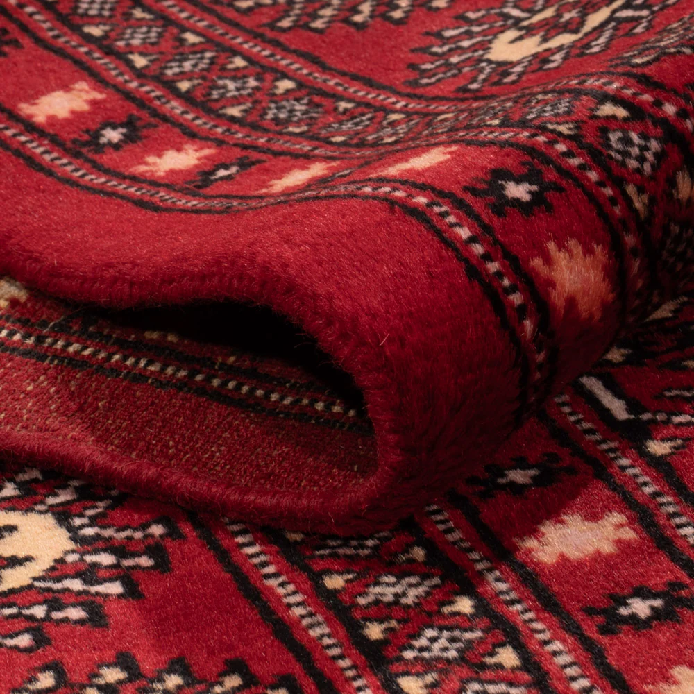 Pakistan Teppich - 266 x 167 cm - rot