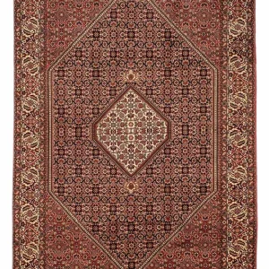 Perserteppich - Bidjar 296 x 198 cm - braun