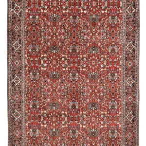 Perserteppich - Bidjar - 297 x 206 cm - rot