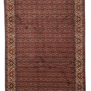 Perserteppich - Bidjar 298 x 202 cm - braun
