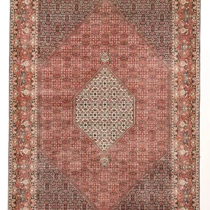 Perserteppich - Bidjar - 305 x 206 cm - rost